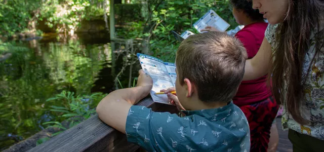 A mother helps her son with a Zoo Trekker activity at the alligator habitat.