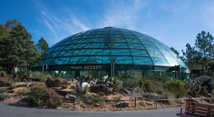 A wide exterior shot showcases the large, glass-domed Desert exhibit building under a bright blue sky with wispy clouds. In front of the building, a landscaped area features various desert plants like cacti and succulents, along with rocks. A paved pathway curves in the foreground, and a wooden bench is visible on the right.