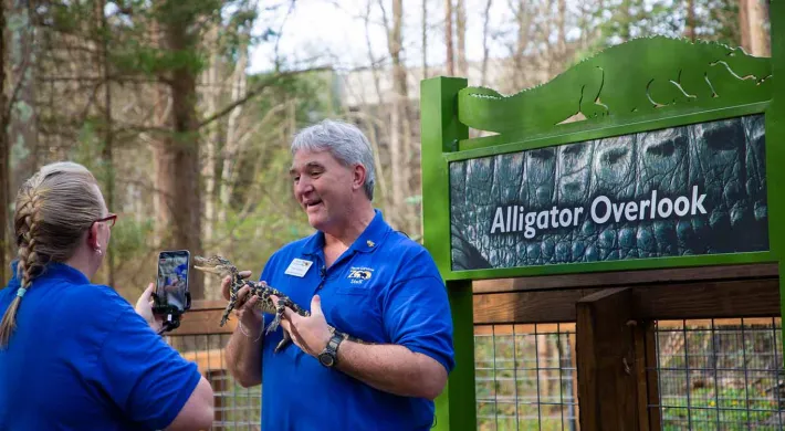 A woman with a blonde braid and blue shirt stands holding and a cellphone facing and seemingly recording an older man in a blue shirt that is holding a small, brown and tan baby Alligator. They are on a wooden deck in front of a green sign with an image of an Alligator and text that reads "Alligator Overlook".