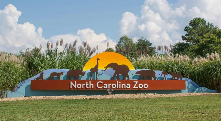 The entrance sign for the North Carolina Zoo is visible, featuring a large, curved sign with "North Carolina Zoo" written across it. Above the text, silhouettes of various animals (including an elephant, giraffe, and bears) are depicted against a yellow sunrise. The sign is set into a grassy mound surrounded by tall reeds and trees under a partly cloudy blue sky.