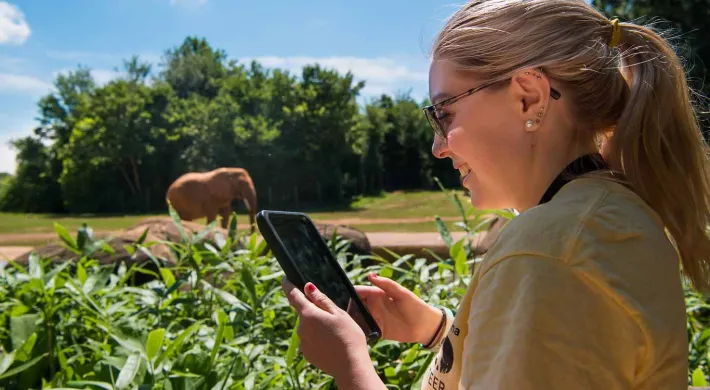 A woman with a blonde ponytail and wearing glasses and a yellow shirt stands holding a tablet in front of a handrail on a sunny day. In front of her is a barrier of bushy green plants. An Elephant stands proudly in a field in the background.