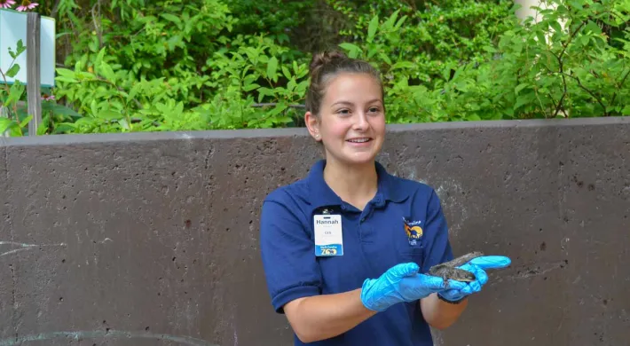A young female nature or zoo educator, wearing a dark blue polo shirt and blue nitrile gloves, is holding a small, dark amphibian or reptile in her hands. She has her hair pulled back and is smiling while presenting the animal to an unseen audience. She is standing in front of a concrete wall with lush green foliage in the background.