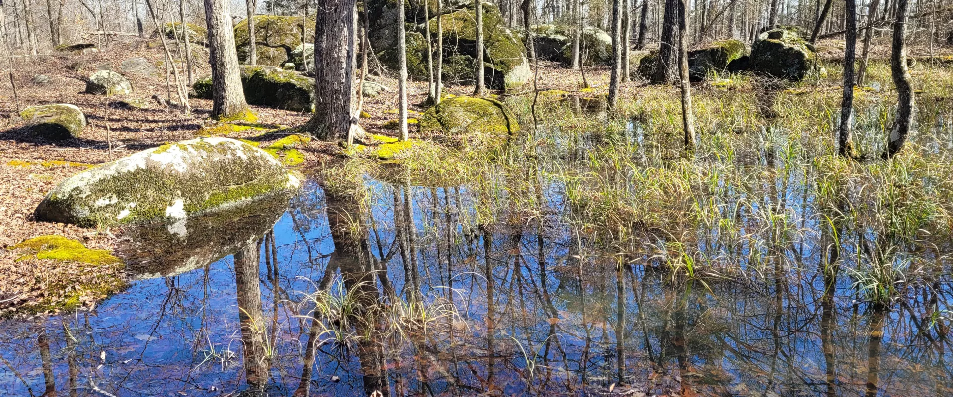 Wild Land Preservation in North Carolina