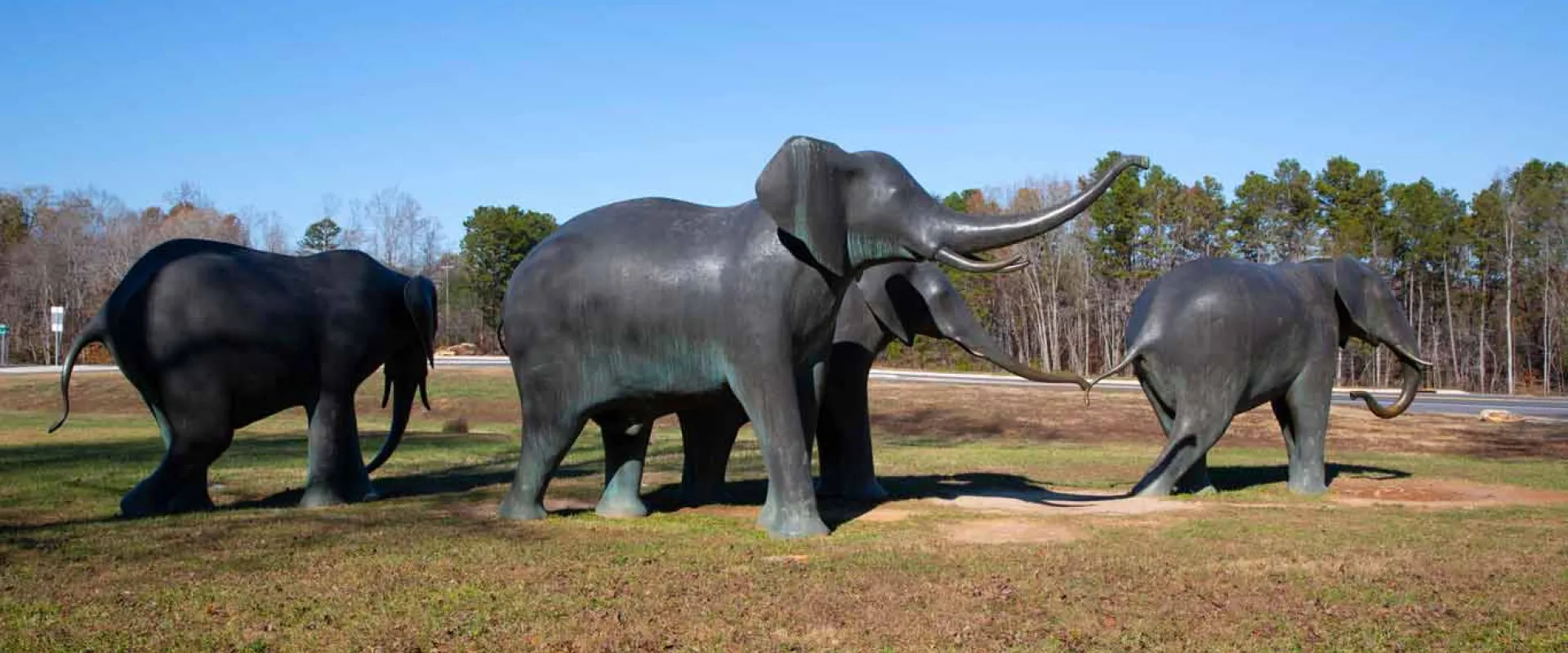 Four life-sized bronze statues of an Elephant herd. The animals are rendered in motion, appearing to walk and raise their trunks in the air.