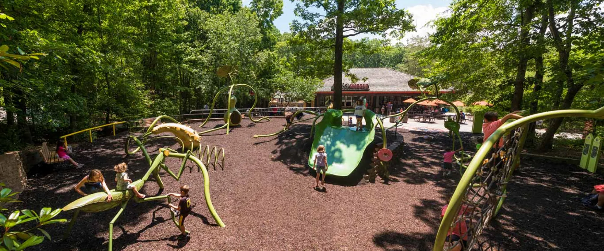 Garden Friends playground with a unique bug and garden theme, which showcases giant leaf slides, large bugs to crawl on and a life sized spider web jungle gym all nested on a mulch covered ground.