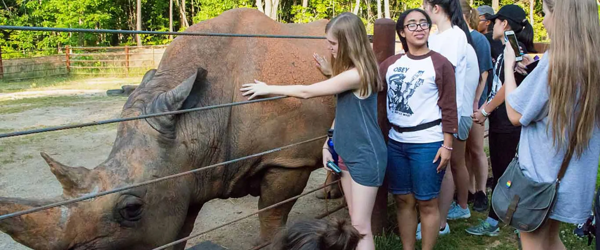 A group of eight young ladies standing next to a wire fence next to an animal habitat. A Rhinoceros stands with its side facing them on the other side of the fence, as they reach through and touch its back. A dusty lot and a line of trees stand in the background.