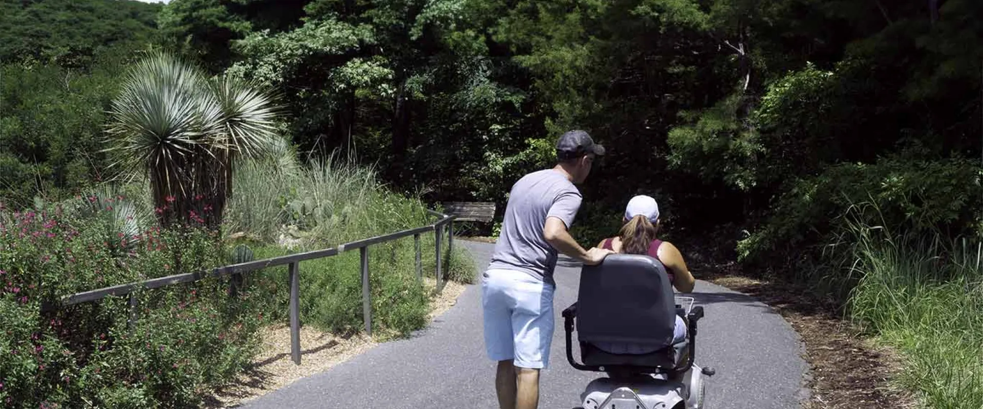 A man wearing a grey shirt and light-colored shorts is standing on a paved pathway, gently guiding or assisting a person seated in a powered wheelchair. The path is surrounded by lush green vegetation, including a unique Yacca plant on the left side, behind a low metal railing.