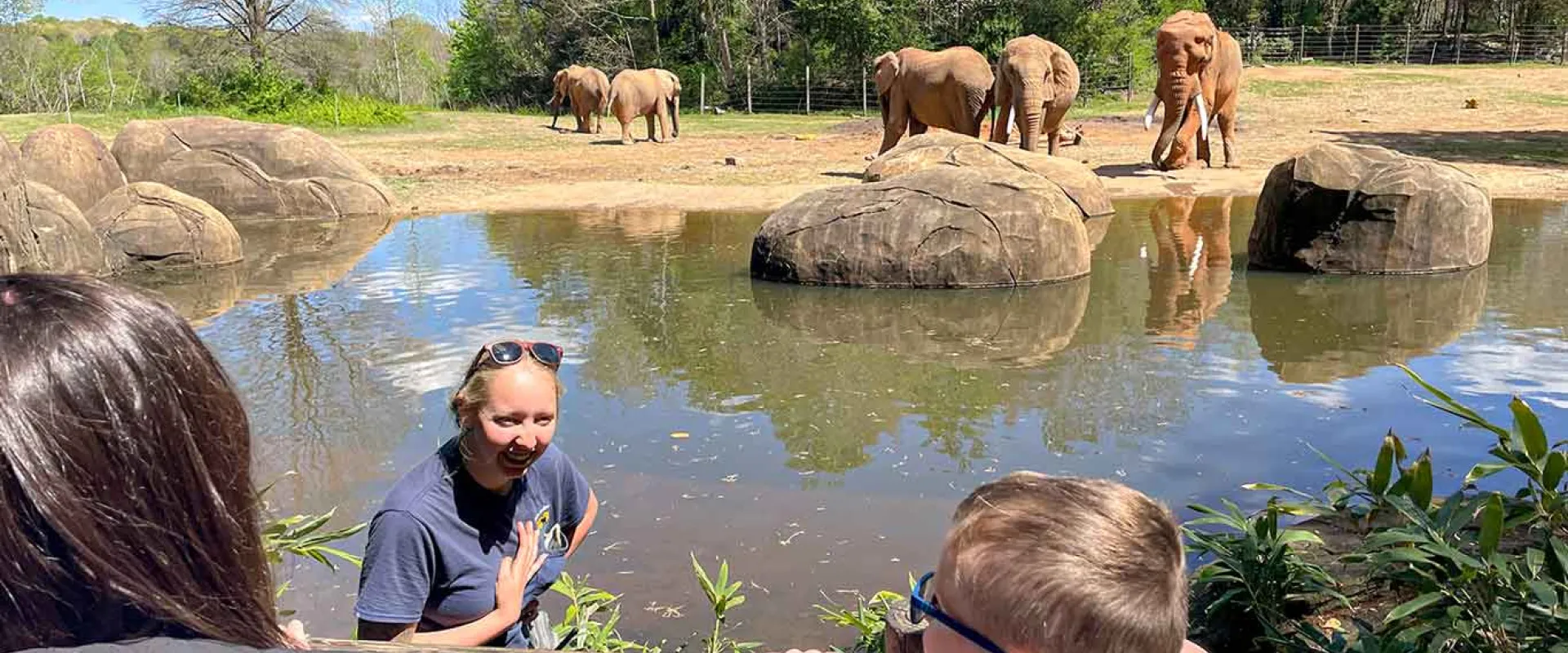 A keeper speaking with guests while elephants gather across a pond.