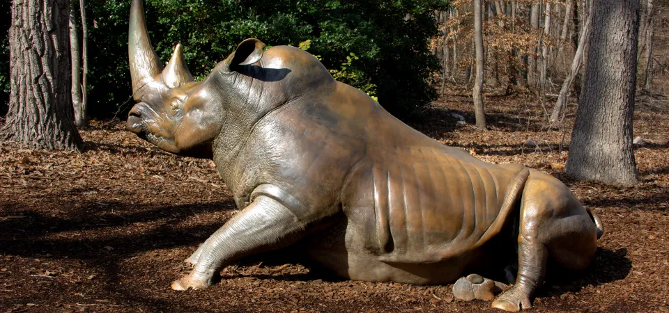 White Rhino bronze sculpture
