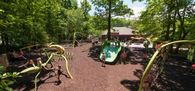 Garden Friends playground with a unique bug and garden theme, which showcases giant leaf slides, large bugs to crawl on and a life sized spider web jungle gym all nested on a mulch covered ground.