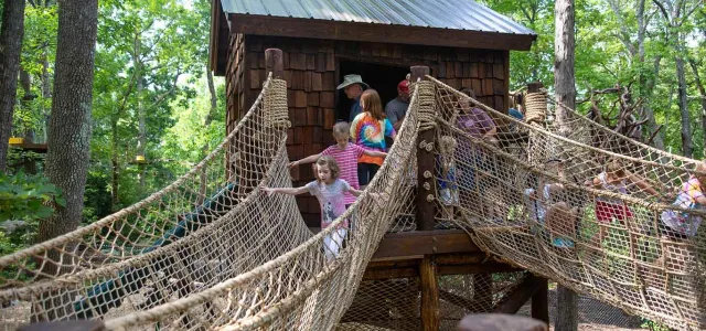 A small wooden treehouse with a swinging rope bridge leading into it on the right and out of it to the left. A group of people of different ages and genders walk and climb all over the bridges. All of this is surrounded by a lush, green forest.