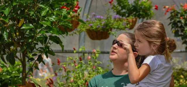A woman wearing sunglasses and a green t-shirt holds a young girl with blonde hair in a ponytail. Both are looking upwards and seem to be observing something. They are surrounded by lush green and colorful plants, with hanging baskets visible in the background, suggesting they are in a garden or greenhouse.