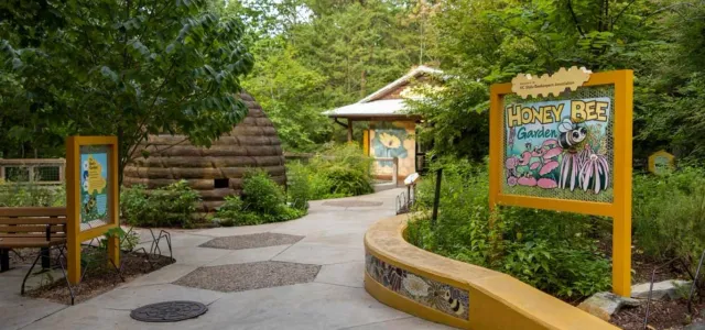 A concrete pathway winds through a lush, green outdoor exhibit. On the right, a large yellow sign reads "HONEY BEE GARDEN" in yellow and black text, featuring an illustration of a Honey Bee. A low, curved yellow wall runs alongside the path, and behind it, dense foliage. To the left, another yellow sign stands near a wooden bench. Further down the path, a rustic log beehive structure is visible among the trees.
