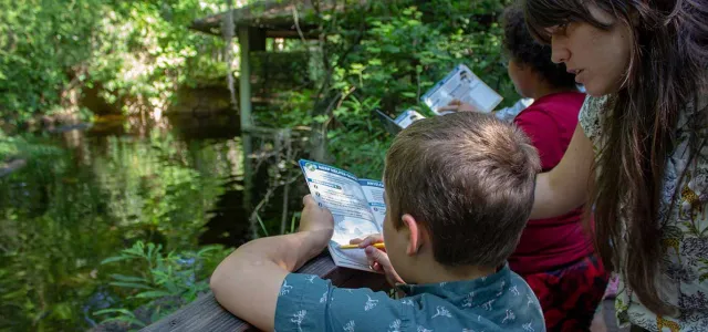 A mother helps her son with a Zoo Trekker activity at the alligator habitat.