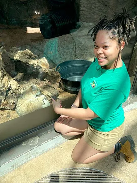 Intern kneeling at the desert Sand Cat habitat. A sand cat is laying next to the glass