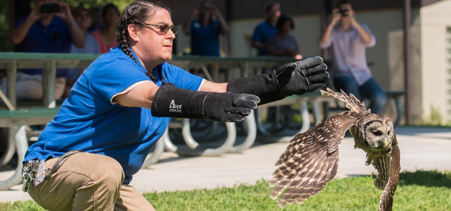A Wild Life: Center for Wildlife Rescue, Rehabilitation, and Release