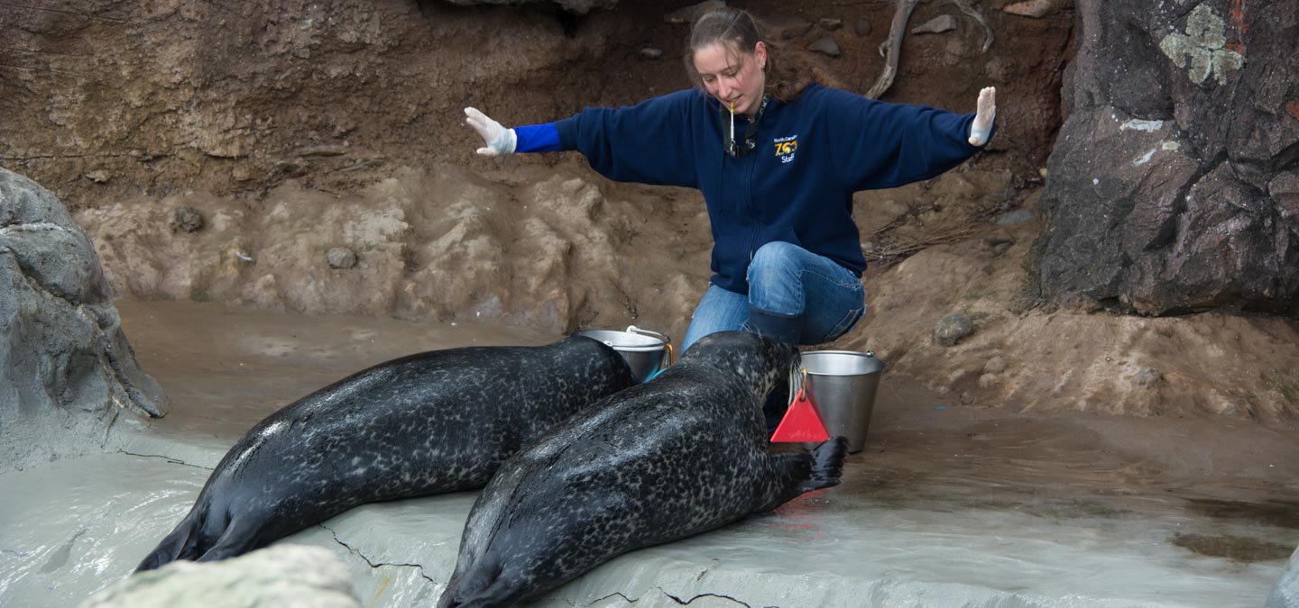 Zoo Careers | North Carolina Zoo