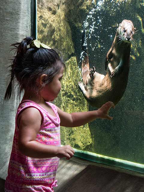 Hurricane Ian | North Carolina Zoo