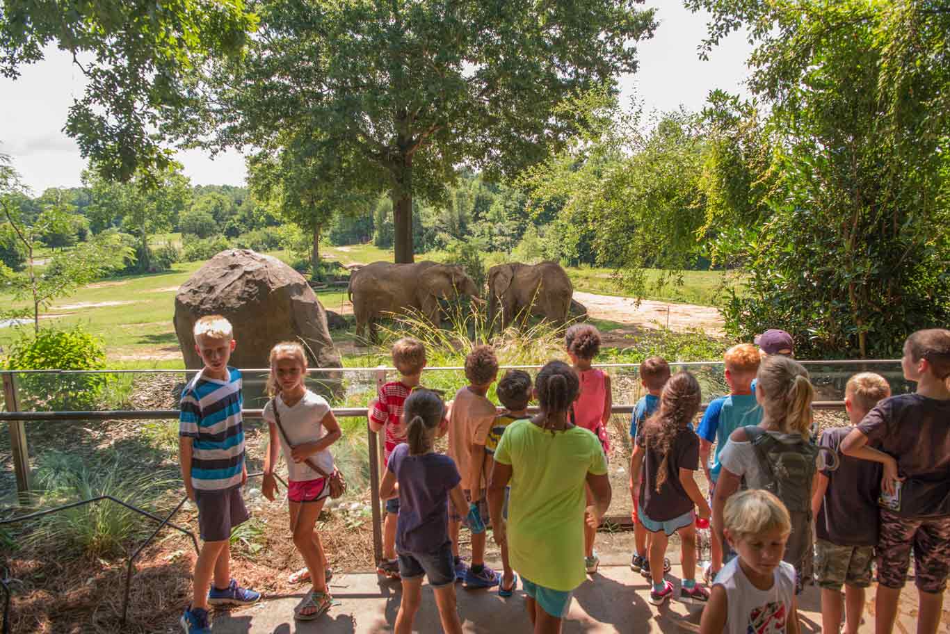 Making the Most of Your Field Trip to the North Carolina Zoo Workshop ...