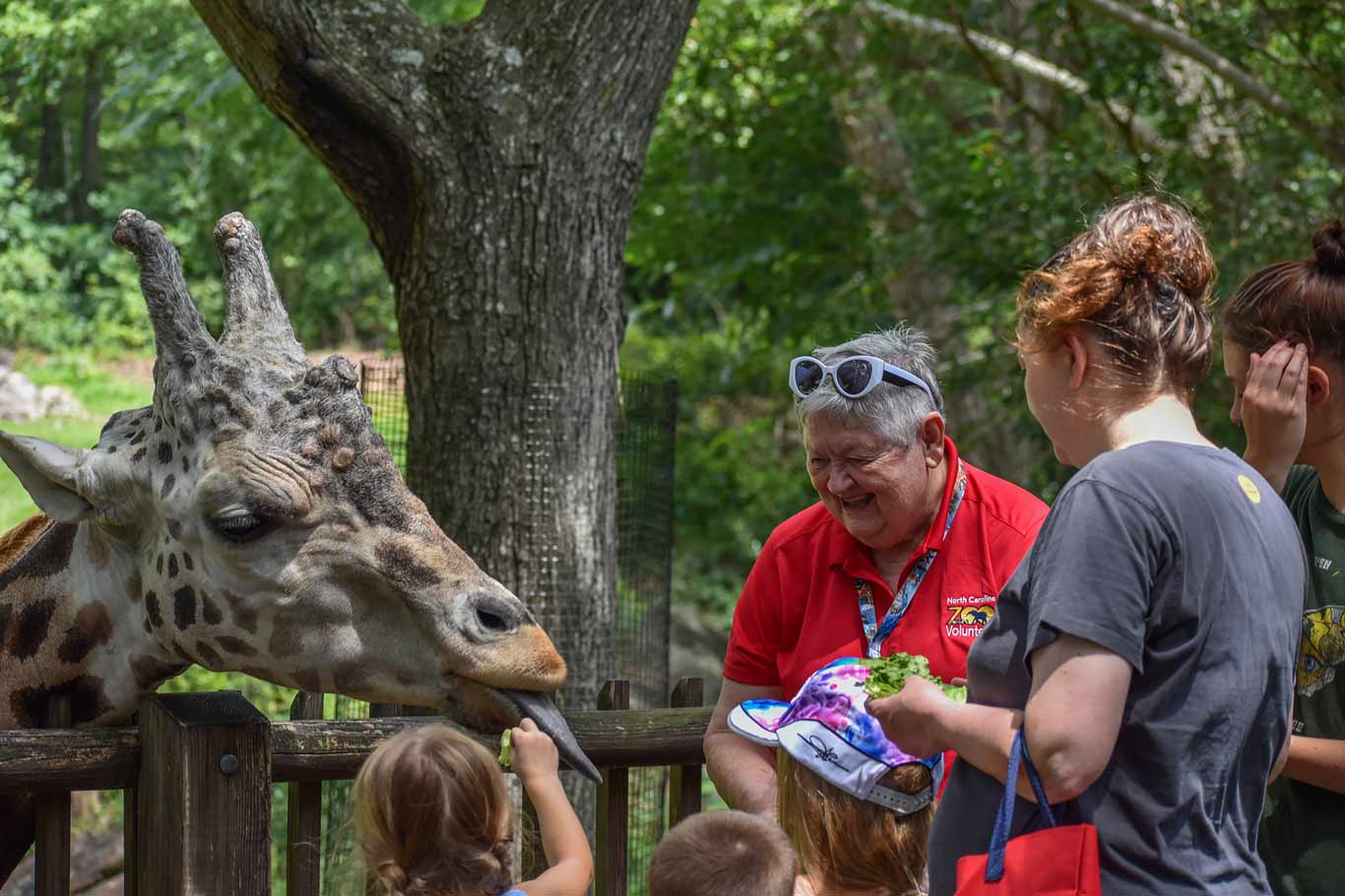 Guest Services | North Carolina Zoo