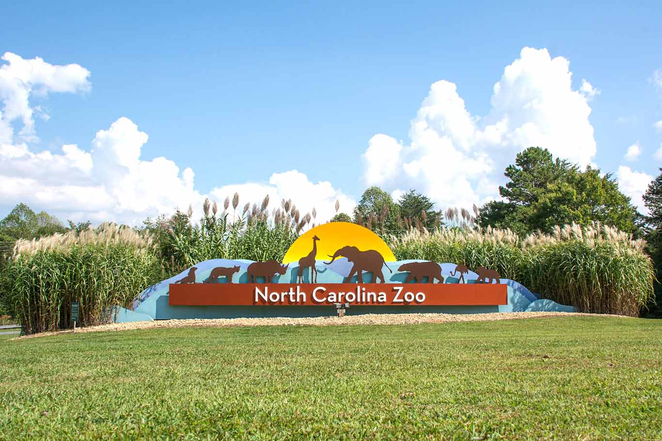 About the Zoo | North Carolina Zoo