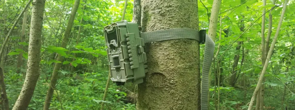 wilderness camera