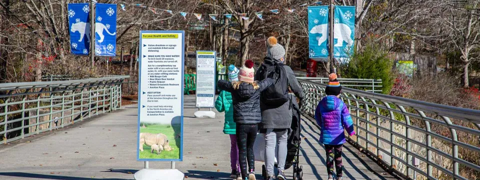 Winter guests entering the Zoo