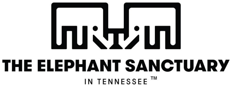 elephant-sanctuary