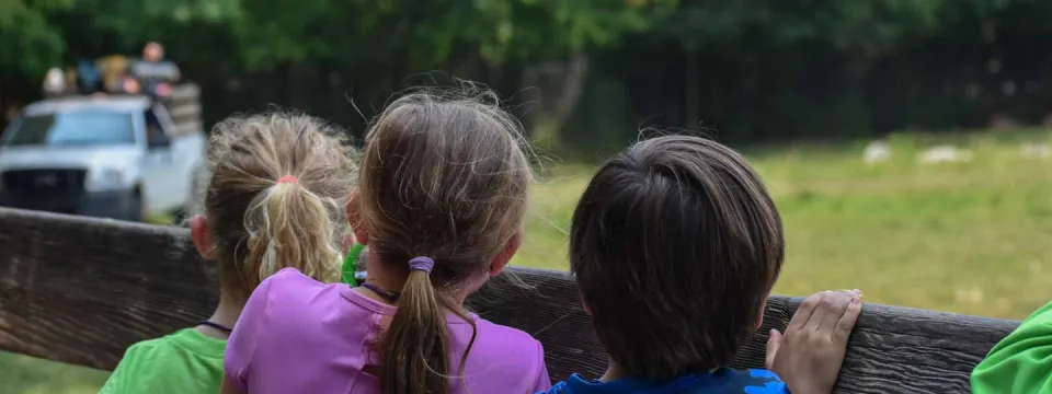A group of young campers leaning against the handrails of the Prairie habitat looking at keepers who are driving a truck across the grass.