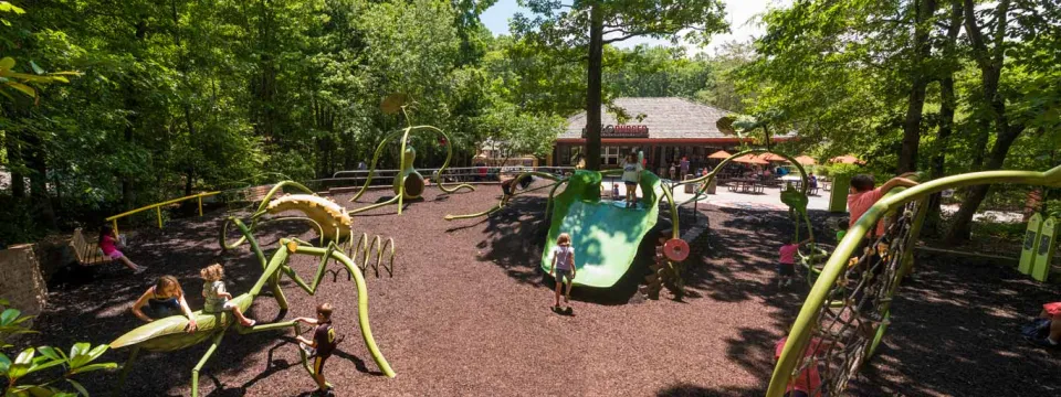 Garden Friends playground with a unique bug and garden theme, which showcases giant leaf slides, large bugs to crawl on and a life sized spider web jungle gym all nested on a mulch covered ground.