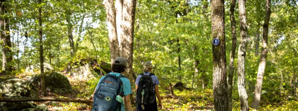 Two hikers on trail