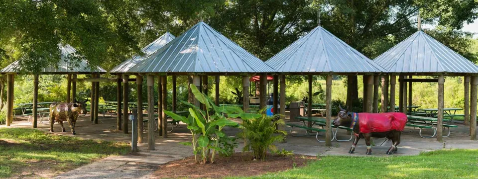 Picnicking in Africa at the Zoo