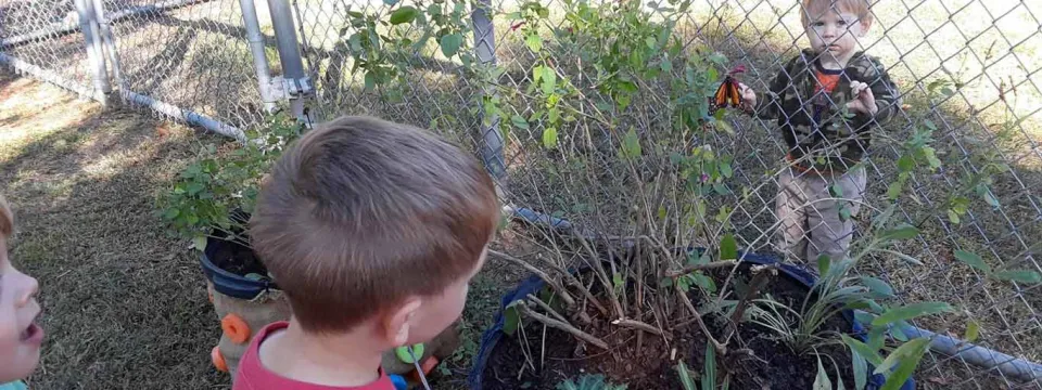 Several young children are gathered outside in a sunny garden or yard, with one child in the foreground looking towards another child standing near a patch of tall green plants by a wire fence.