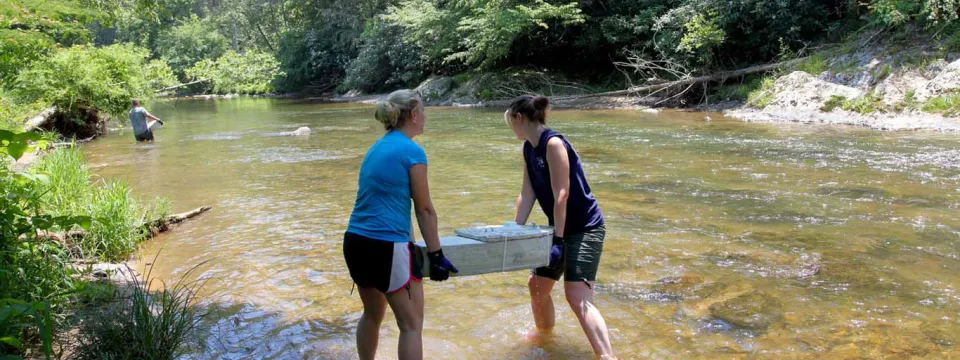 Carrying a hellbender box