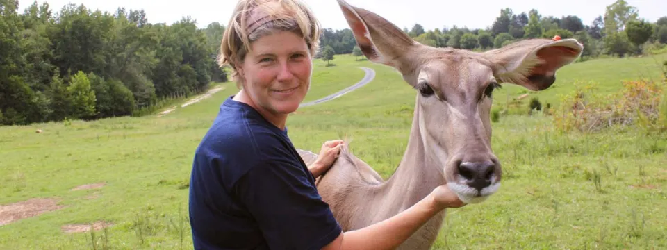 A wide outdoor view of a woman in a dark blue shirt and headband standing in a grassy field, gently cradling the snout of a Greater Kudu. The animal has very large ears and is a light brown color. In the background, a paved road or path winds through rolling green hills and trees under a bright sky.