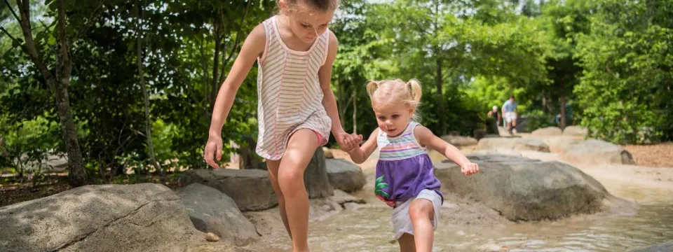 kidzone is the perfect place for kids to connect and learn with nature