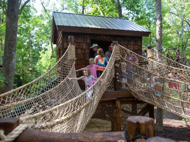 Treehouse Trek with children