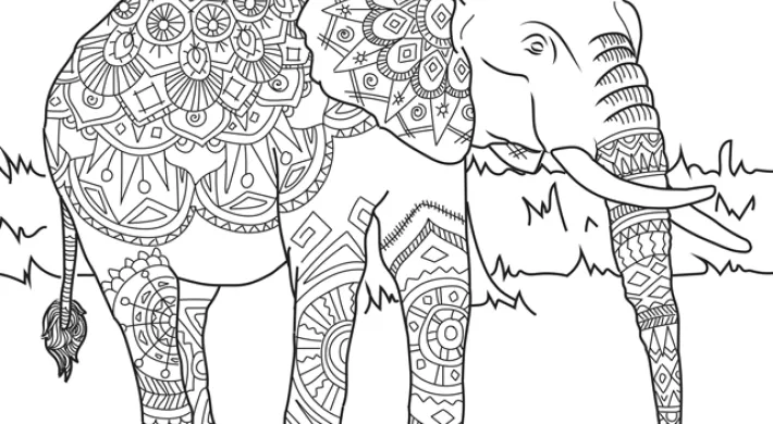 Elephant zentangle coloring page