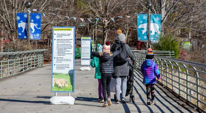 Winter guests entering the Zoo