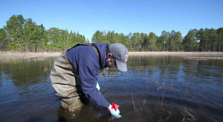 A person wearing a navy sweatshirt and green rubber waders, stands in the middle of a lake lined with trees. They are reaching down towards the water with blue latex gloves and a small container in their hands.