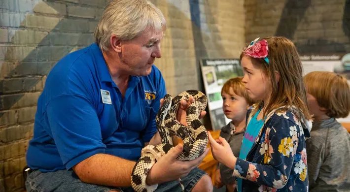 An older man in denim shorts and a blue collared shirt with a NC Zoo logo on it, sits on a bench, holding a tan and brown patterned snake in his hands. A small girl in a flowered dress stands in front of him, reaching out to pet the snake. Two smaller children stand in a line behind her.