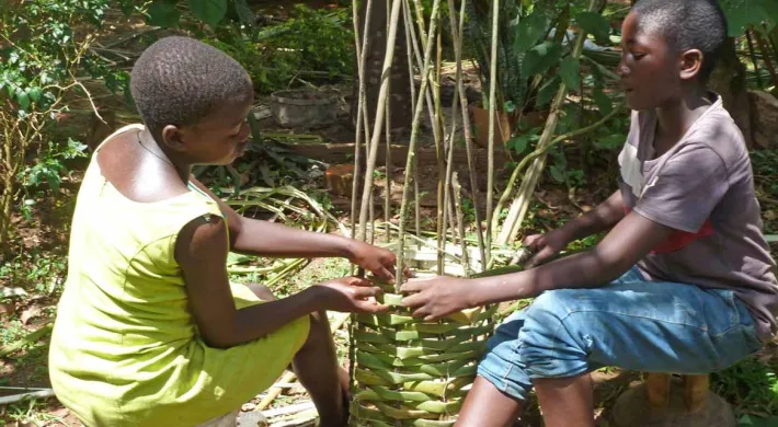 Students making a beehive