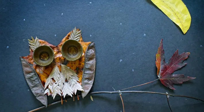 Craft made of leaves in the shape of an owl on a branch with a moon over its head on a dark blue background.