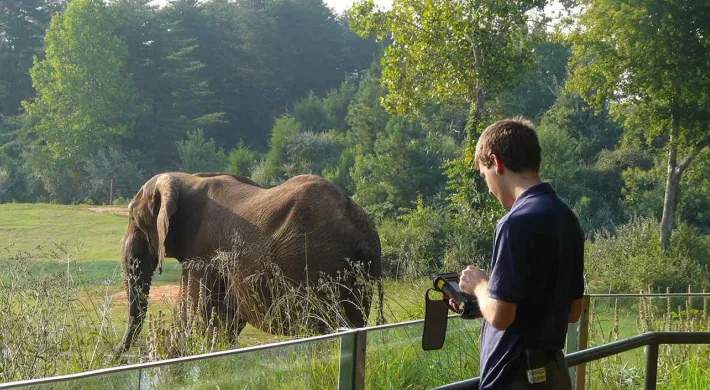 Staff researching at elephant habitat with elephant in the background