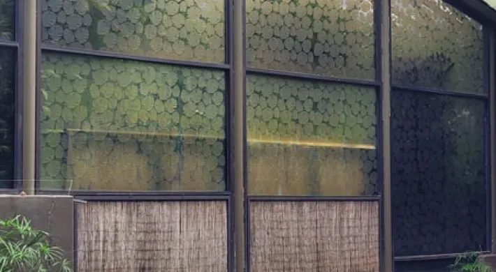 A long, glass-paneled building with a white fabric roof is shown with several flamingos standing in a small pool of water in the foreground. The glass panels have a translucent leaf pattern on them, obscuring the view into the building. T