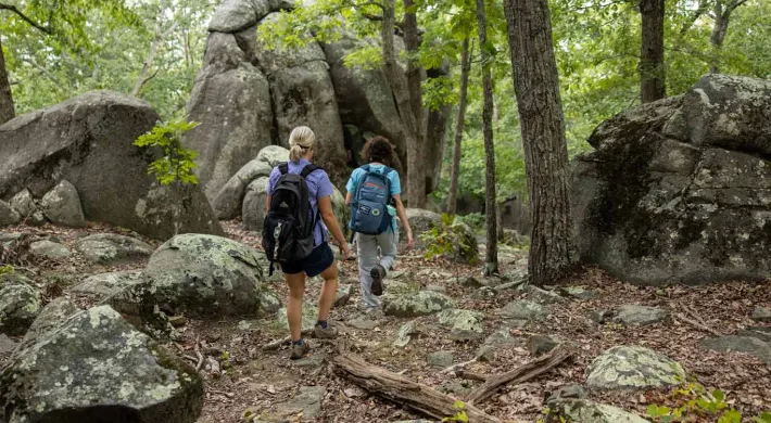 Ridges Mountain Nature Preserve was established in 2000 when the original property was protected in partnership with the Piedmont Land Conservancy.