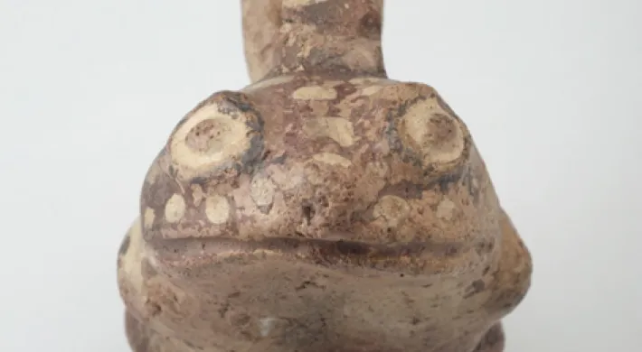 A Peruvian frog-bottle sensory art- a small, rounded bottle with a stubby neck coming from the top and the large eyes and mouth of a frog carved into the front.