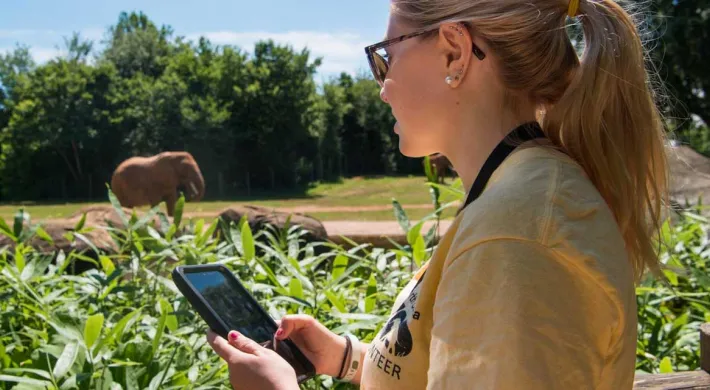 Zoo intern at elephant