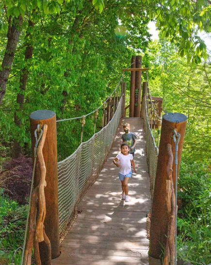 Children walking down the Kidzone Tree Top trail