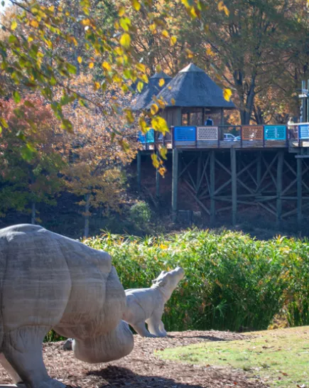 Visit North Carolina Zoo